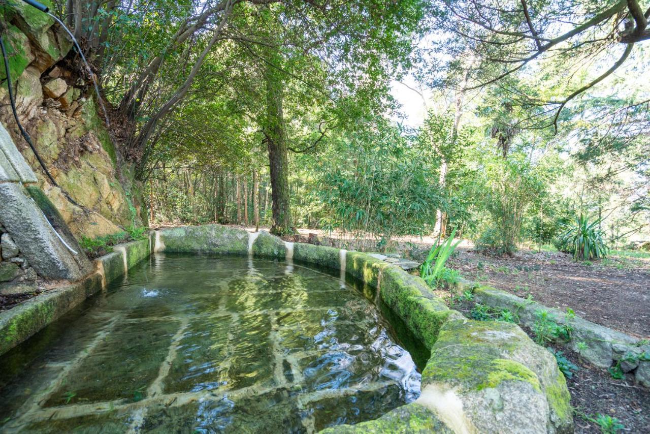 Quinta Das Lamas - Antiga Adega Vouzela Luaran gambar
